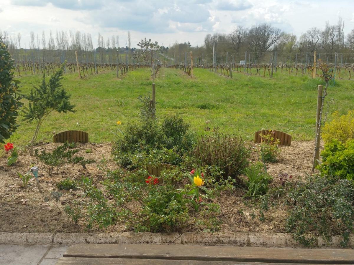 מלון Saint-Georges-sur-Layon Le Logis Du Livier מראה חיצוני תמונה